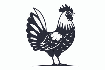 rooster isolated on white background