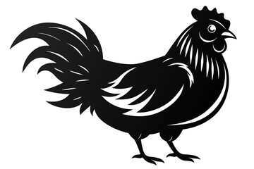 rooster isolated on white background