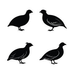 Partridge Silhouette Vector Set &ndash; Black Partridge Bird Icons Isolated on White Background