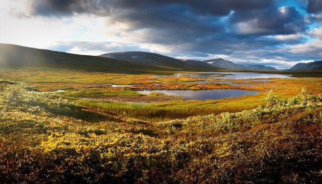 tundra landscape in murmansk region