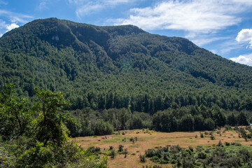 Scenic Mountain Landscape with Forest and Meadow