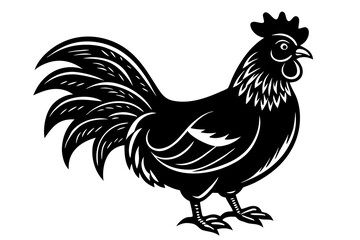 rooster vector illustration