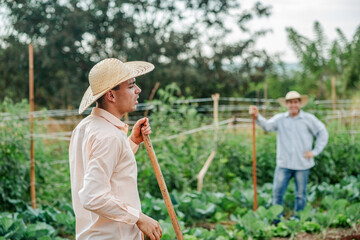 Brazilian Farmers Working in Lush Green Vegetable Garden