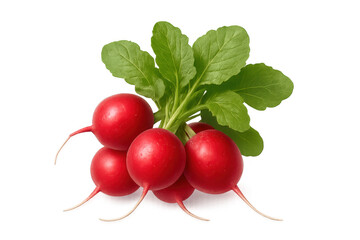 Bright red radishes bundled together, green leafy tops spreading, highlighting crisp freshness against clean transparent background