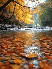 Autumn River: Golden Leaves and Crystal Clear Water