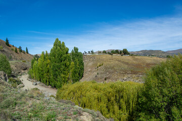Tranquil Landscape with Lush Green Trees and Blue Sky
