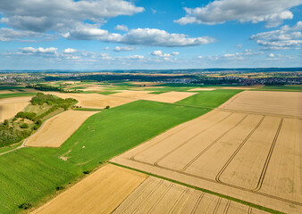 geometrical landscape patterns of ripe cornfields on the fruitful fields of the Langes Feld north...