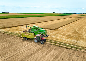 Obraz premium combine harvester harvesting wheat on a field in the vertile and fruitful of Langes Feld north of Stuttgart, Baden-Württmberg, Germany