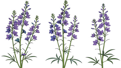 Naklejka premium Adobe Illustrator Artwork