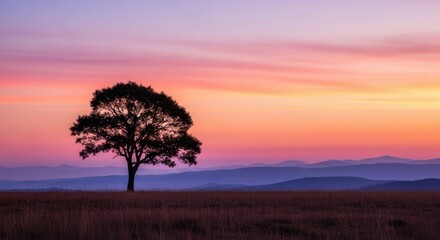 Obraz premium A lone tree stands silhouetted against a vibrant sunset sky