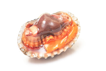 close up grilled cockles on white background