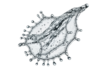 An ultra realistic uhd photograph of a complex high-speed water splash, frozen in mid-air with countless crystal-clear spherical droplets and fluid streams forming an intricate 3d structure, captured