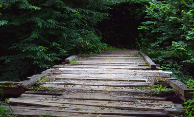 Obraz premium Wooden pedestrian bridge in forest with overgrown vegetation and damaged surface viewed from low angle in remote hiking path for design background or ecological tourism visuals