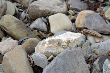 Collection of medium-sized rounded and angular river stones naturally deposited on riverbank during springtime demonstrating textural diversity and evidence of water erosion over time.