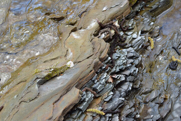 Layered sedimentary rock formation along river channel featuring erosion patterns with water...