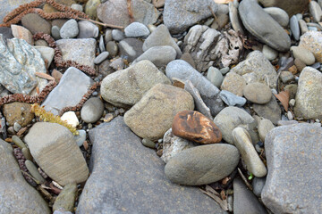 Mixture of small and medium stones of different shapes textures and colors densely covering riverbank terrain during spring season indicating active sediment transportation by water.