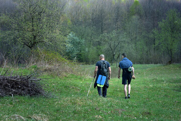 Father and son walking together across a peaceful spring meadow surrounded by forest trees. Perfect...