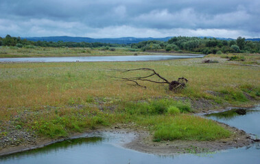 Wetland area with calm river bend and grassy shoreline under cloudy sky in natural reserve zone captured for environmental protection design and peaceful nature background