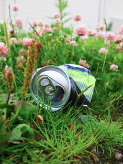 A Discarded Aluminum Beverage Can Resting in Green Grass Amidst Small Pink Flowers