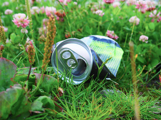 A Discarded Aluminum Beverage Can Resting in Green Grass Amidst Small Pink Flowers