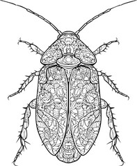 Intricate black and white cockroach illustration with detailed patterns. Vector illustration