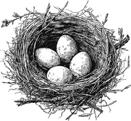 Hand-drawn birds nest with four eggs in intricate pen and ink style illustration. Vector illustration
