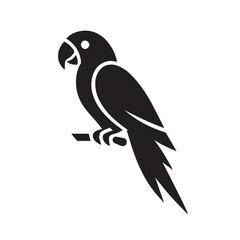 Obraz premium vector illustration of an Parrot