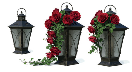 Vintage lanterns with cascading red roses on white background