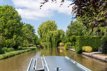 A barge passing under a copper beech, looking along a canal.