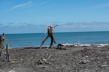 Driftwood Sculpture on a Beach