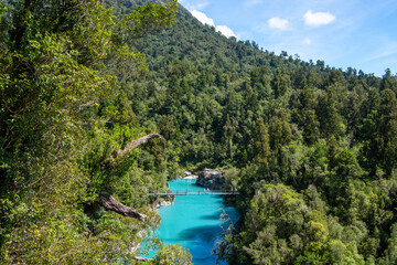 Turquoise River Surrounded by Lush Green Forests