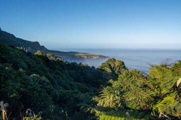 Lush Green Landscape Overlooking Calm Ocean