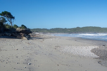 Serene Beach Scene with Clear Blue Sky