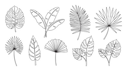 Botanical Sketch Diverse Tropical Leaves Line Art, a Nature's Essence Illustration