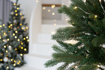 A large Christmas tree in the living room, decorated with garlands and light balloons. Bright...