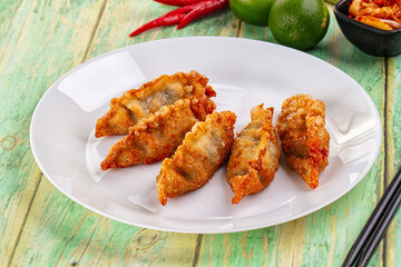 Asian fried stuffed dumplings gyoza