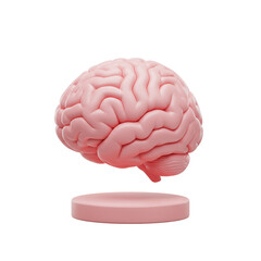Human brain on a pedestal 3d icon