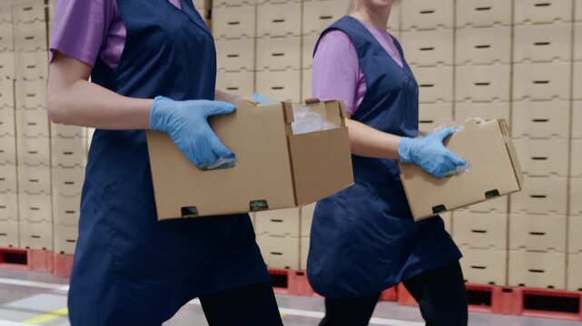 Anonymous workers hands holding cardboard boxes filled with vegetables against a warehouse backdrop.