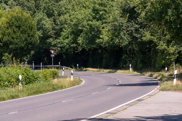 Winding road leading into lush green forest in summer