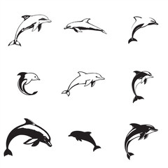 vector set of hand drawn Dolphin bundle pack collection 