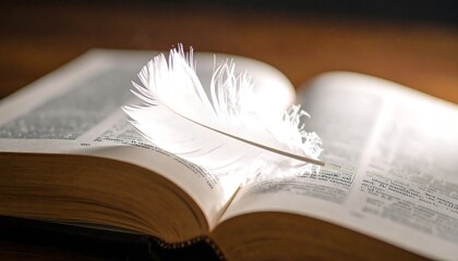 Open book with feather, light shining