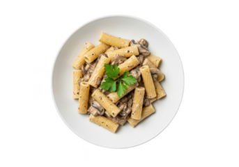 Top down studio shot of rigatoni pasta with creamy mushroom sauce and parsley garnish image