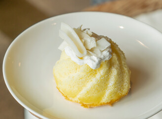 Coconut Sponge Cake with Whipped Cream and Coconut Flakes on White Plate side view of Sweet treat