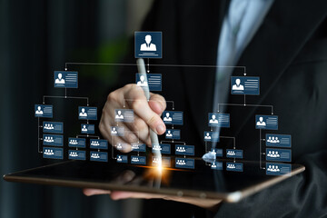 Corporate org chart and team structure show hierarchy, team, and structure for clear organization,...