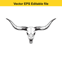 Fototapeta premium Longhorn bull skull with impressive horns isolated on white background