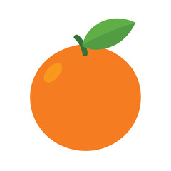 vector illustration of a orange
