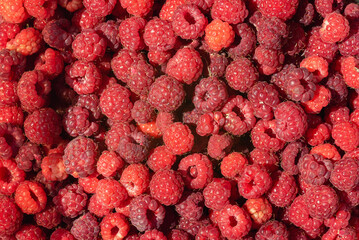 Top view fresh red raspberries, background.