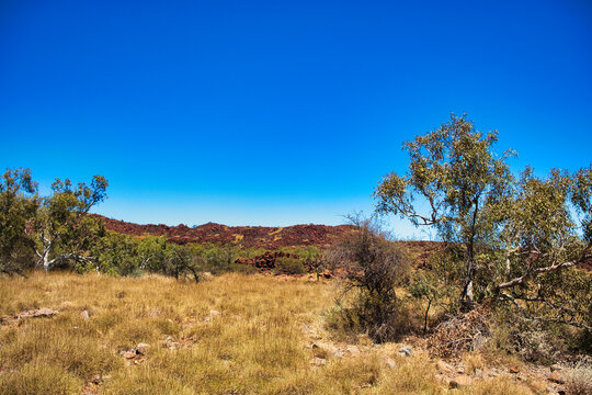 Outback landscape with stunted vegetation, red rocks and dry grasses at Murujuga National Park, Burrup Peninsula, Karratha, Pilbara, Western Australia