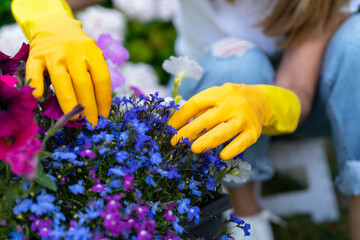 Gardening enthusiast wearing yellow gloves plants vibrant flowers in a colorful garden on a sunny...