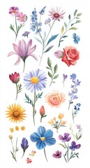 Beautiful watercolor drawings of a variety of flowers create a stunning decorative sticker set. Each illustration captures the elegance and vibrancy of nature perfect for embellishing projects